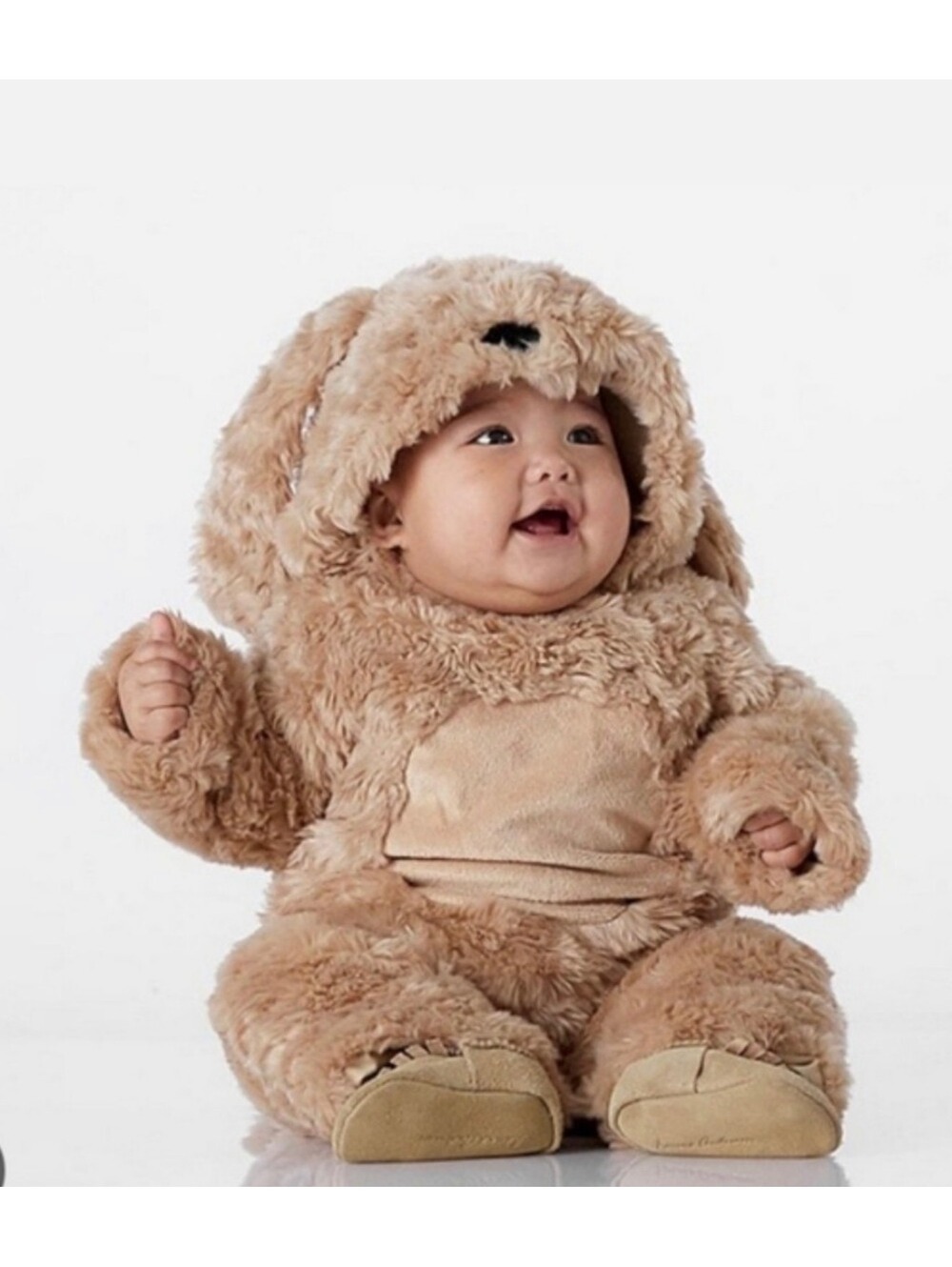 Pottery barn kids puppy costume